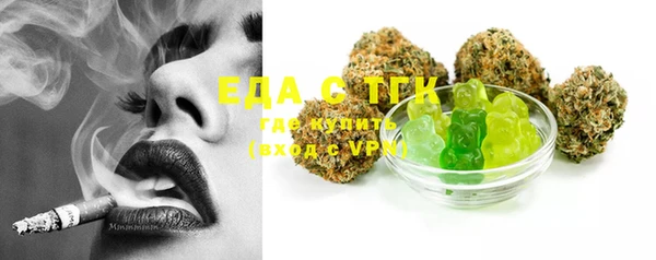 индика Новодвинск