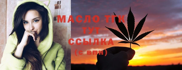индика Новодвинск