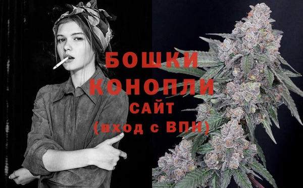 стафф Няндома
