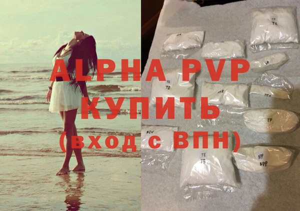 индика Новодвинск