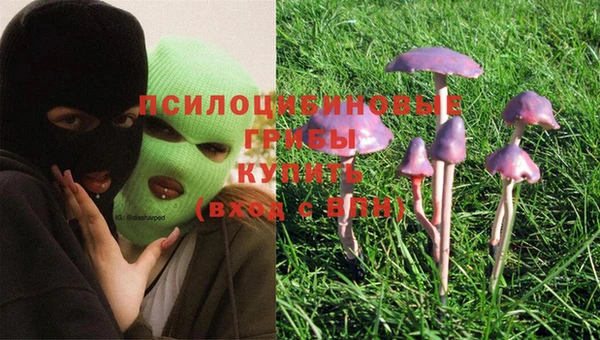 стафф Няндома