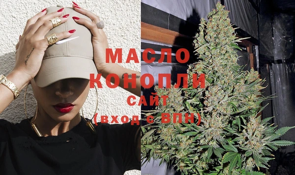 индика Новодвинск