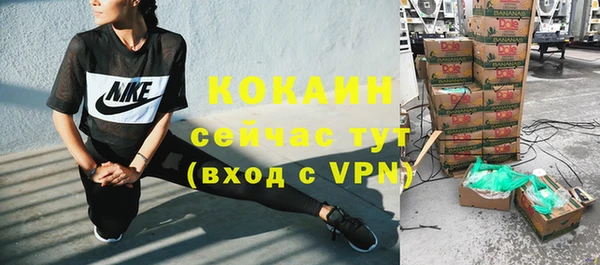 индика Новодвинск