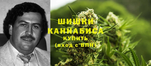 дурь Нягань