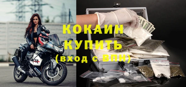 индика Новодвинск
