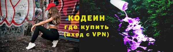 индика Новодвинск