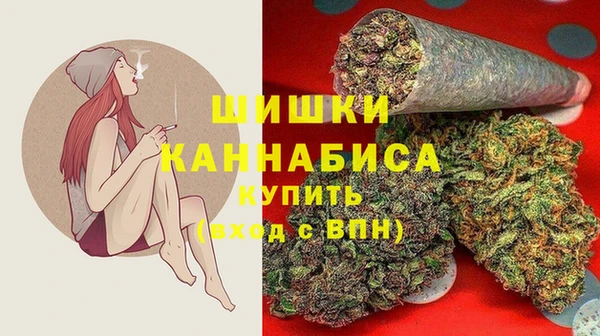 индика Новодвинск