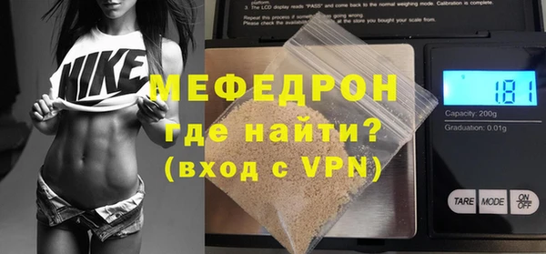 индика Новодвинск