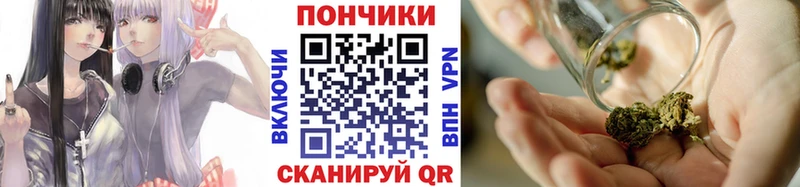 Бошки марихуана конопля  Купить закладки  Томмот 